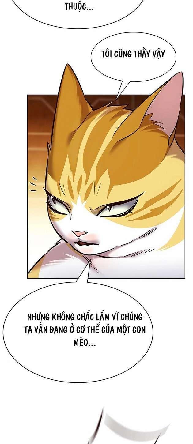 biến thân thành mèo chapter 245 46