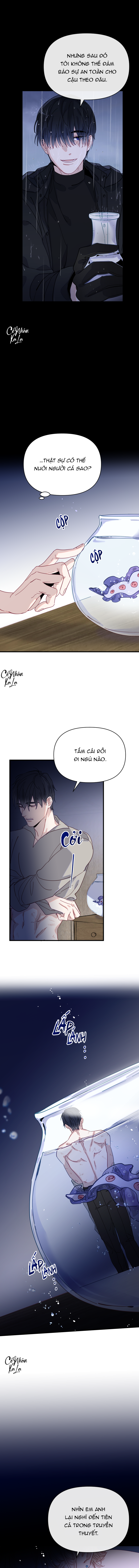 chàng tiên cá trên cạn chapter 1 13