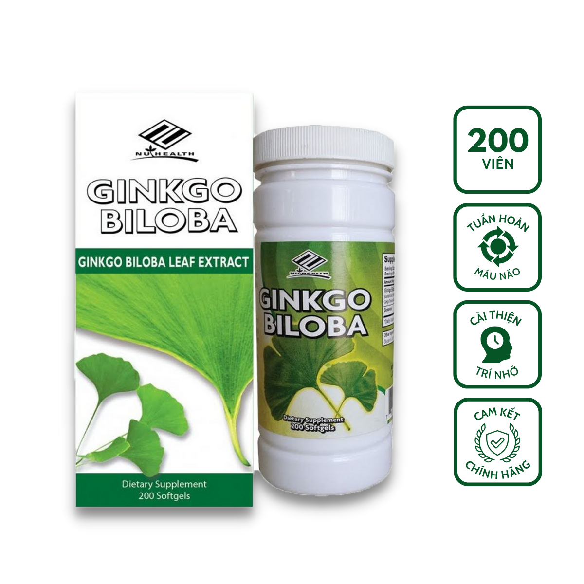 Viên uống Ginkgo Biloba hỗ trợ cải thiện tuần hoàn não
