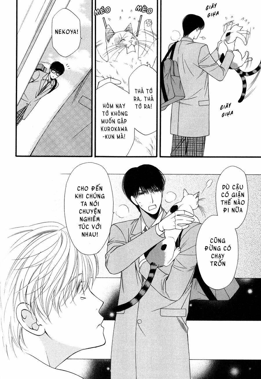 neko neko honey chapter 12 10