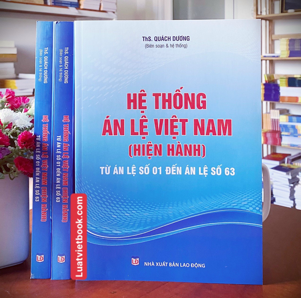 Hệ Thống Án Lệ Việt Nam Từ Án Lệ Số 01 Đến Án Lệ Số 63