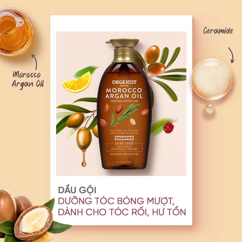 Bộ đôi Dầu gội và dầu xả nuôi dưỡng tóc Organist chiết xuất từ tinh dầu Morocco Argan - Dành cho tóc hư tổn