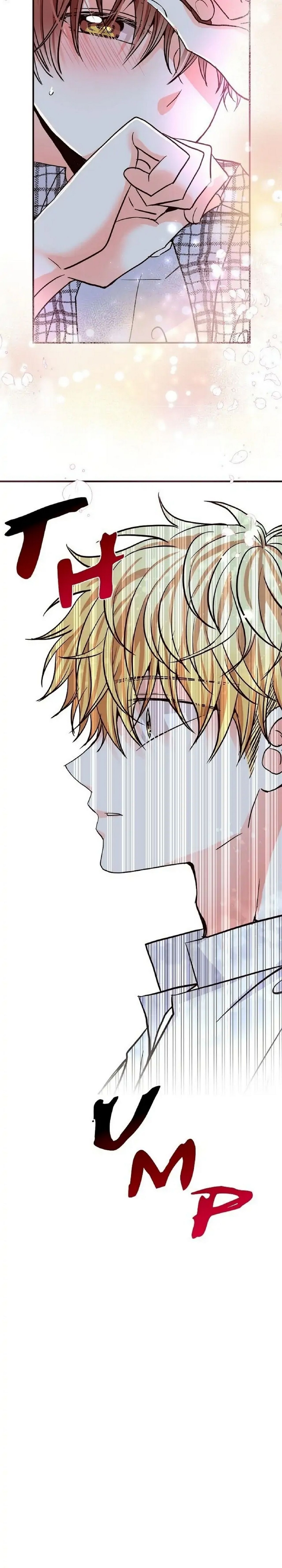 mối quan hệ phù hợp chapter 15 7