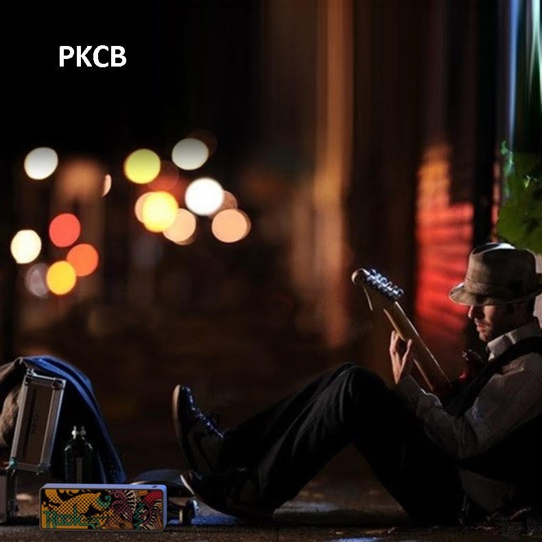 Loa Bluetooth không dây Speaker nghe USB thẻ nhớ Cao cấp Hàng chính hãng