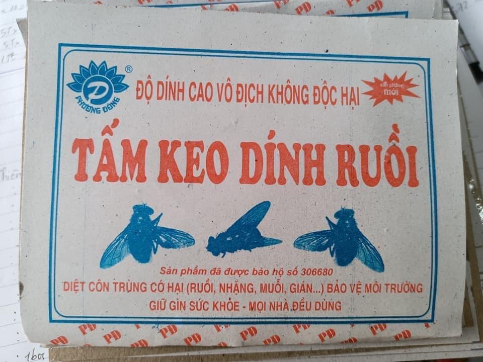 SET 50 MIẾNG KEO DÍNH RUỒI SIÊU DÍNH, KHÔNG ĐỘC HẠI