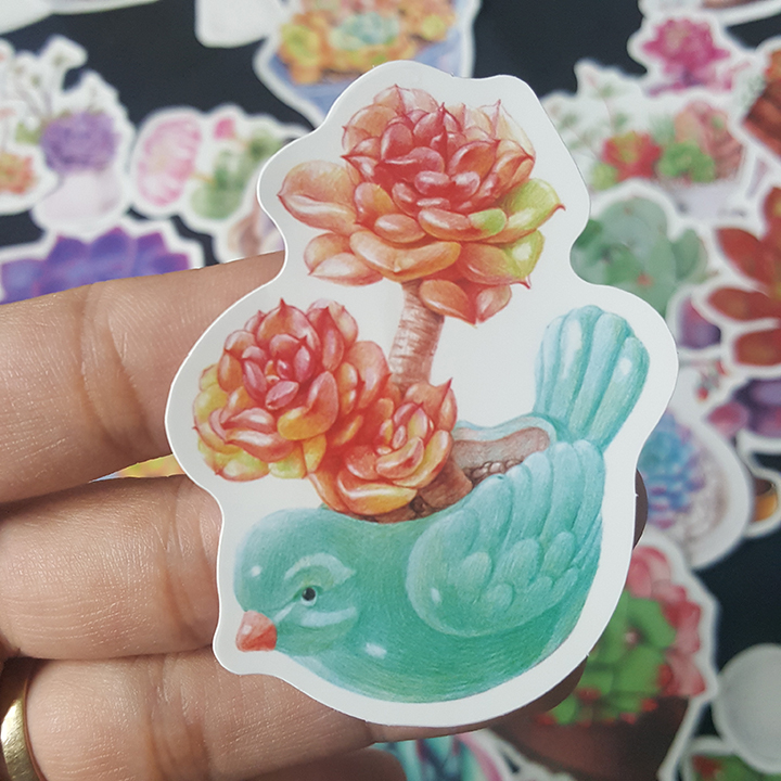 Bộ Sticker dán cao cấp chủ đề SEN ĐÁ SUCCULENTS - Dùng dán Xe, dán mũ bảo hiểm, dán Laptop