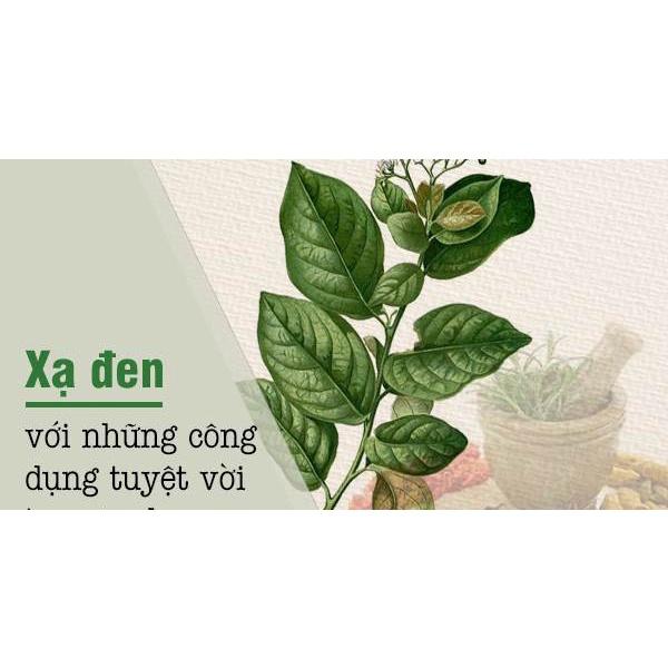 TRÀ THẢO DƯỢC XẠ ĐEN