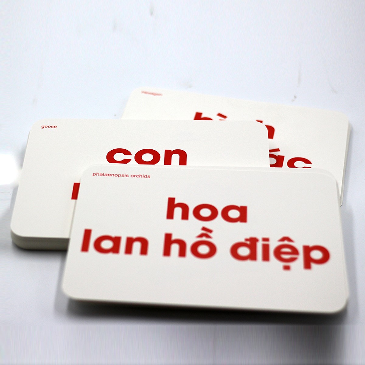 Bộ Thẻ Học Flash Card Glenn Doman Thế Giới Xung Quanh