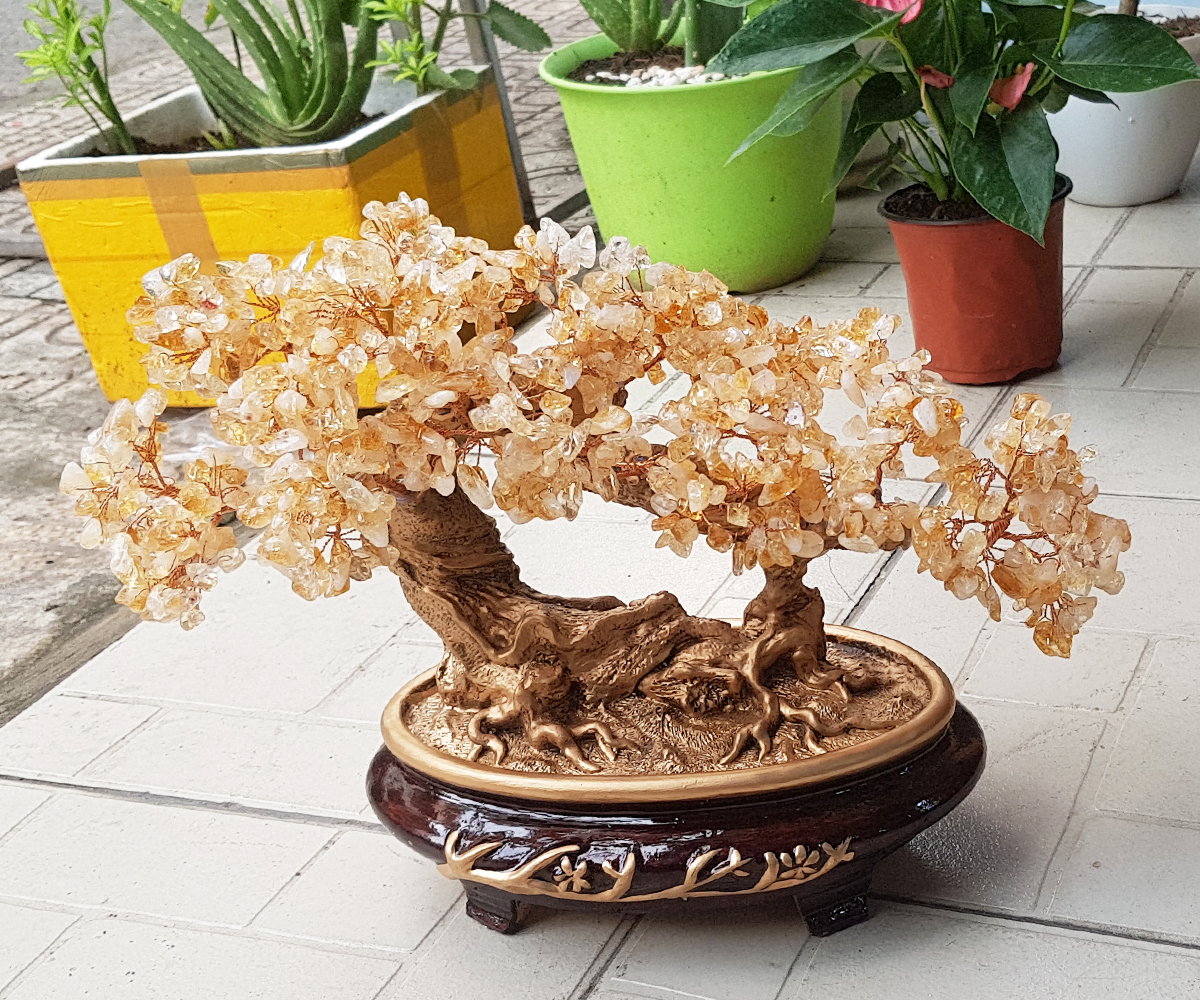 Cây Tài Lộc đá Thạch Anh vàng kiểu dáng bonsai nghiêng chiêu tài tấn lộc