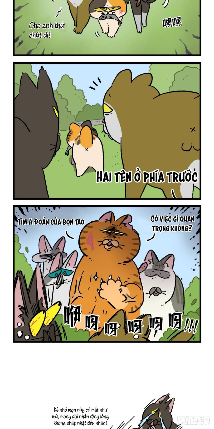 a mãn và mạch trà chapter 167 4