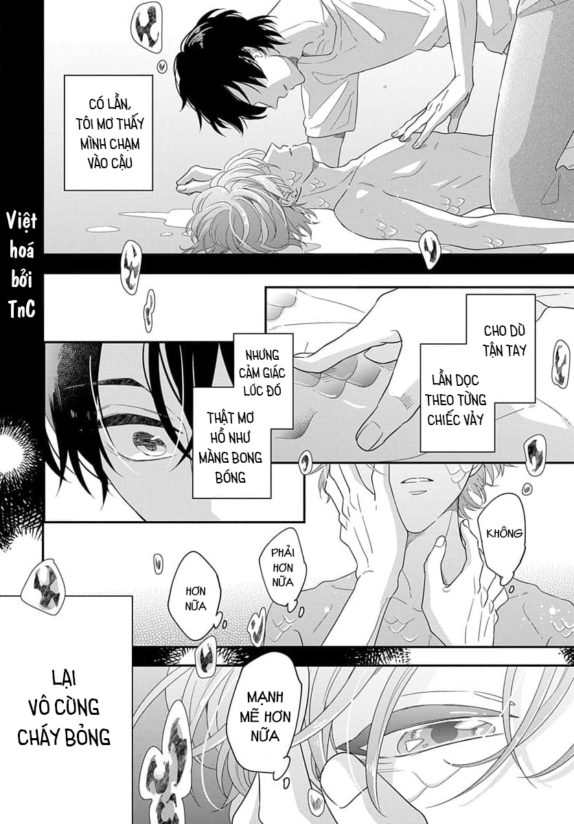 chạm tới trái tim tiên cá chapter 0 2