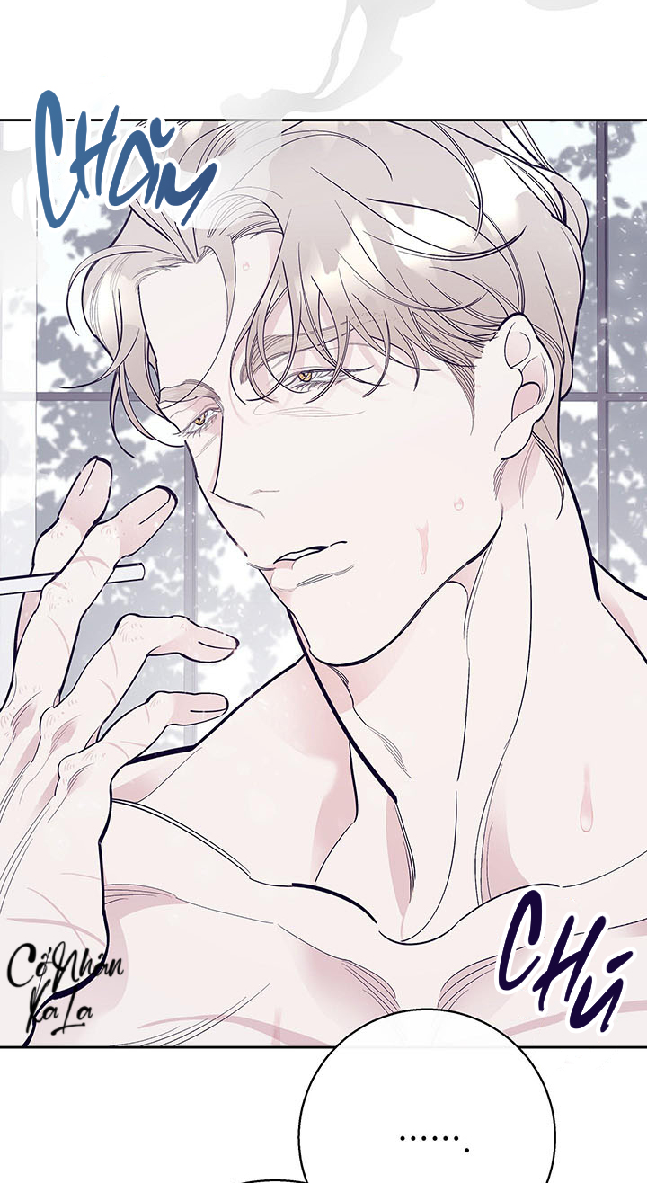 than van chapter 8 10