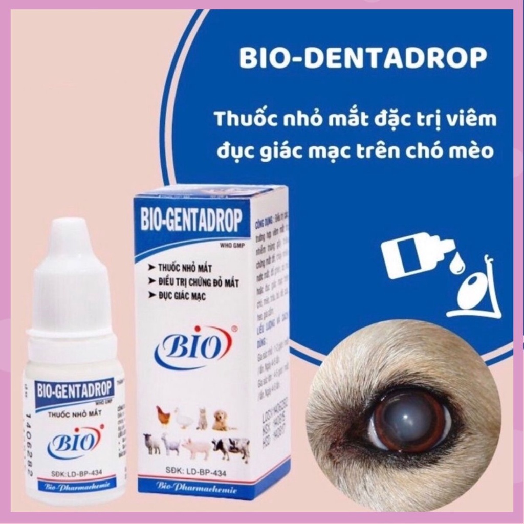 BIO GENTADROP 10ml Thuốc nhỏ mắt các chứng đỏ mắt, đục giác mạc dành cho chó mèo chim gà vịt heo trâu bò