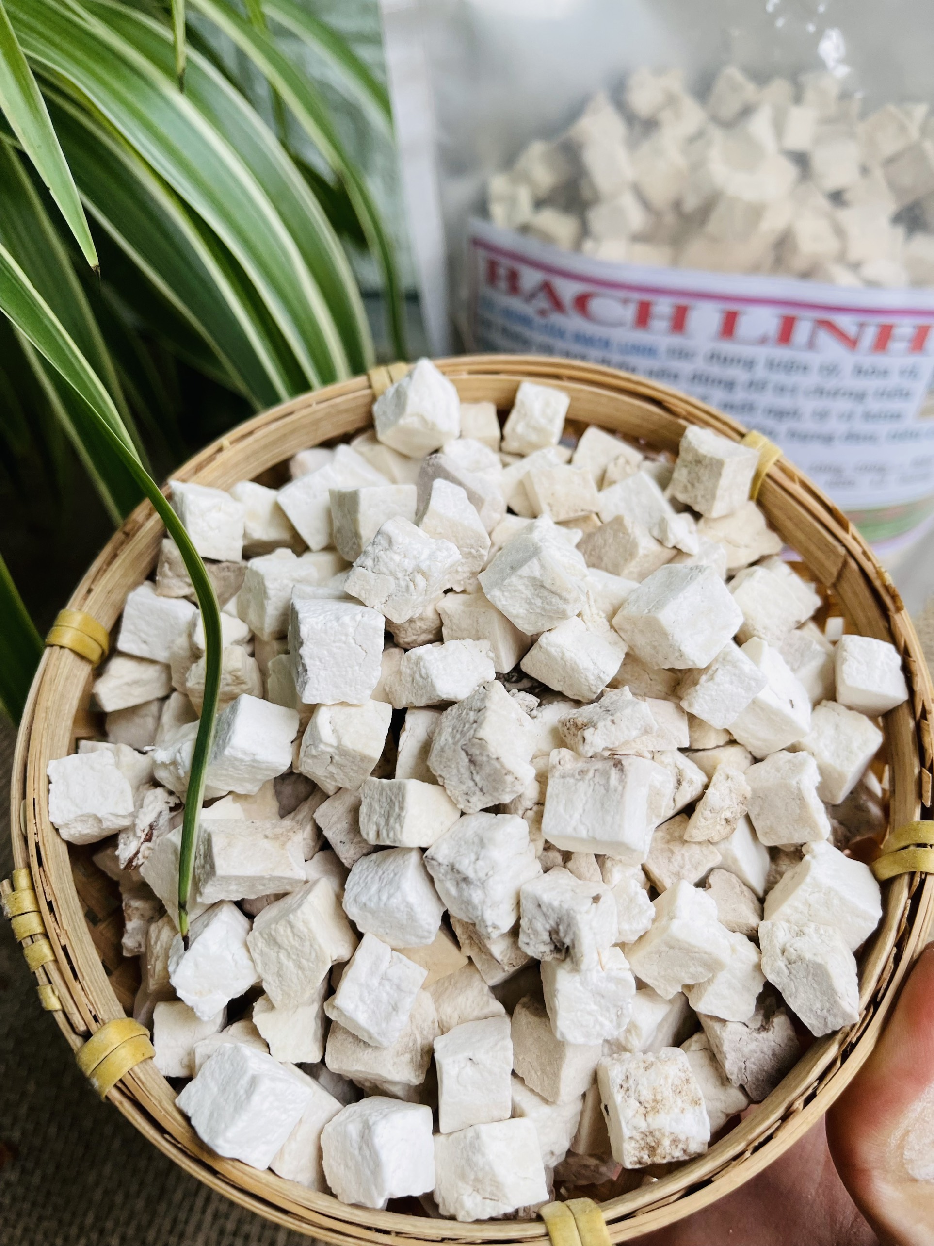 100g Bạch linh đồng vị thuốc bắc khô sạch