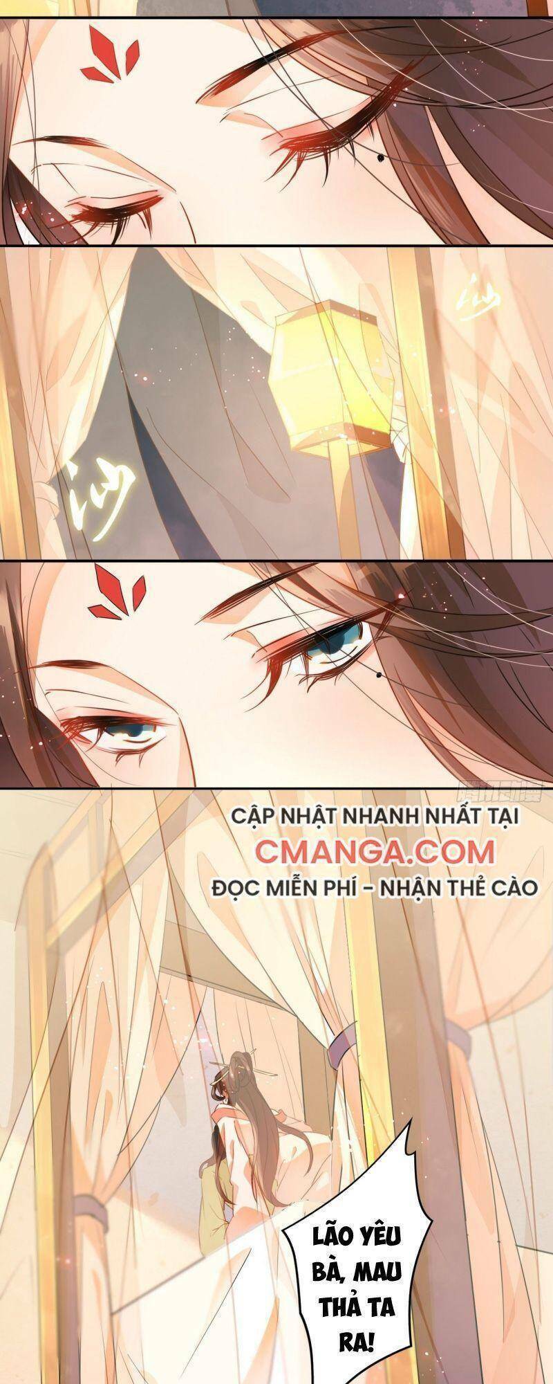 nghe nói ta là hợp hoan lão tổ? chapter 1 41