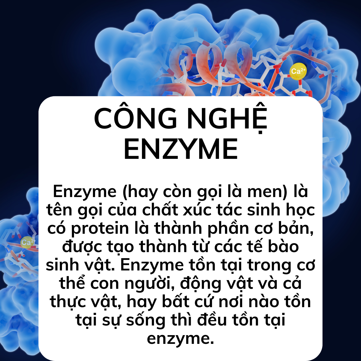 Nước rửa chén - nước lau sàn công nghệ sinh học SGNew (Dung tích 400ml - 1L) - Hàng chính hãng