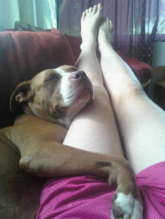 hình ảnh hài hước new chapter 3 21