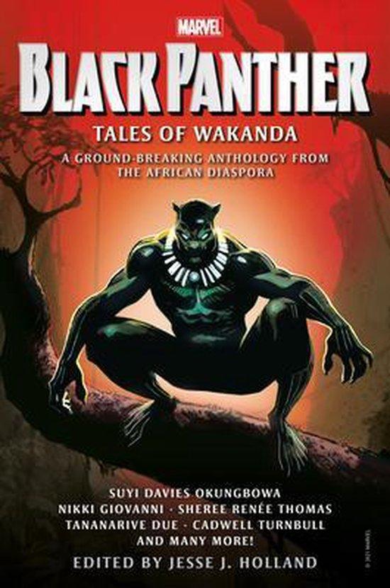 Tiểu thuyết Fantasy tiếng Anh: Black Panther: Tales Of Wakanda