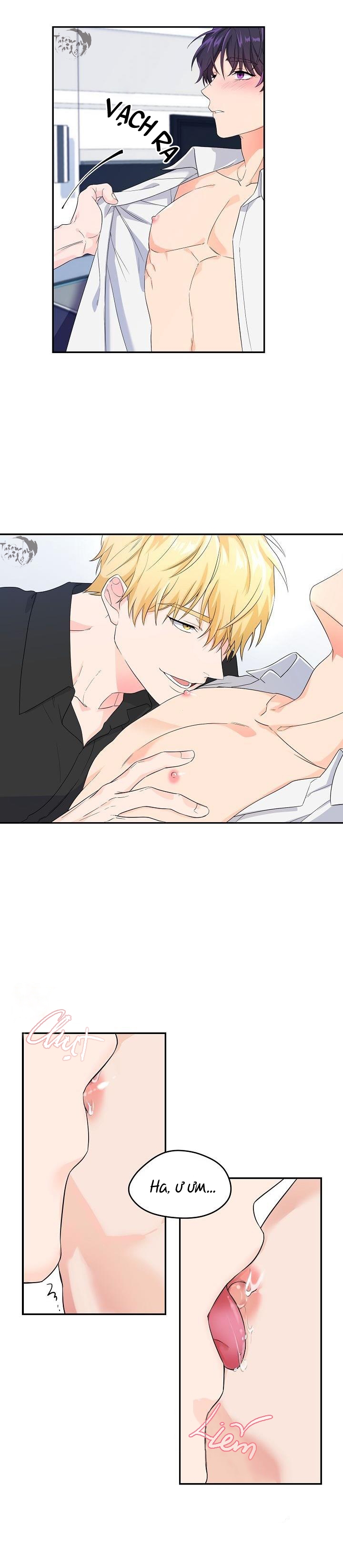 hoa ly hổ chapter 2 4