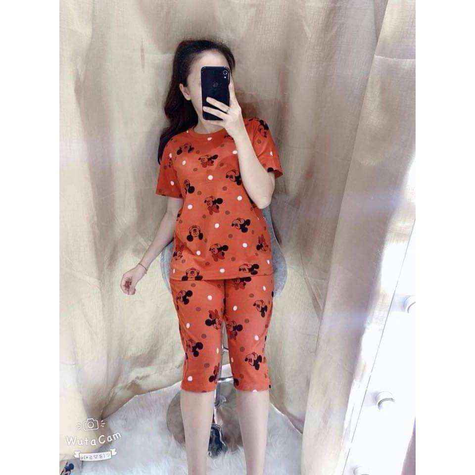 ĐỒ BỘ MAY NƠ THÊU NY THUN HÈ 3 SIZE 40-62KG TÙY CHIỀU CAO