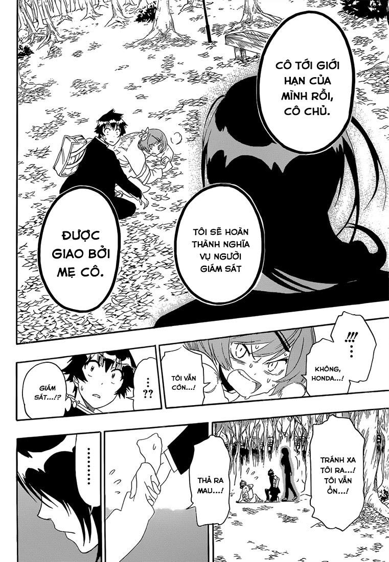 nisekoi - tình yêu giả tạo chapter 181 8