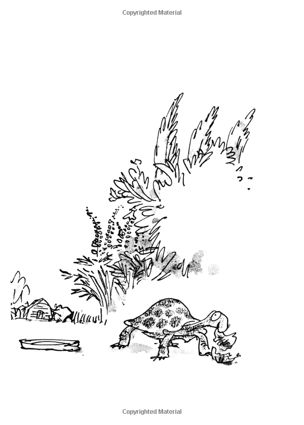 Esio Trot (Roald Dahl, Illustrated by Quentin Blake)