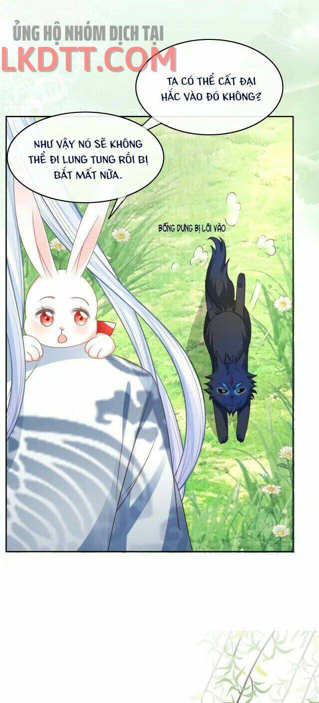 hắc hóa nam chính trực tuyến nuôi thỏ chapter 23 7