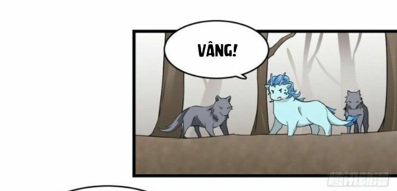 độc bộ thiên hạ: đặc công thần y chapter 204 21