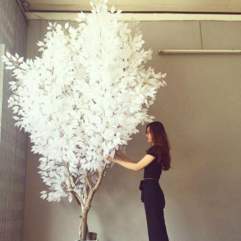 Combo 10 Cành lá si trắng làm cây giả - Lá giả