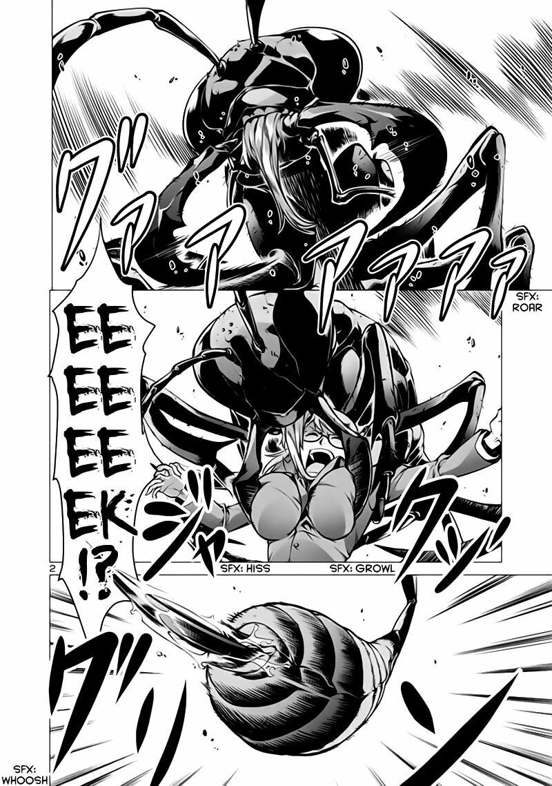 đảo côn trùng chapter 2 2