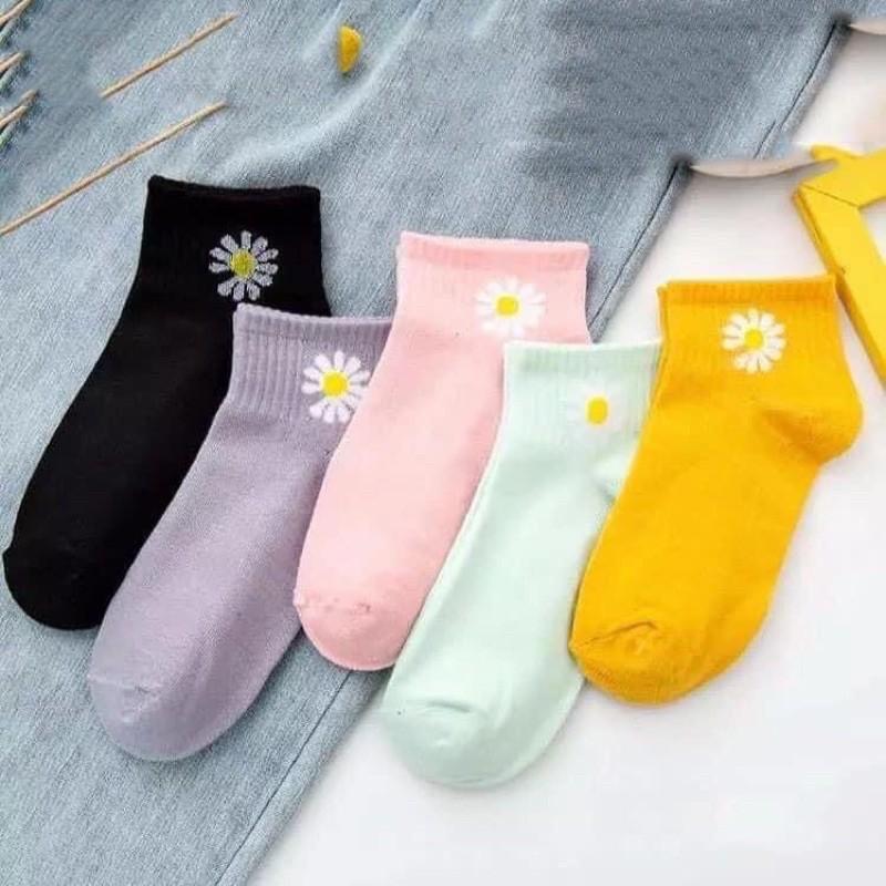 Tất hoa cúc cotton