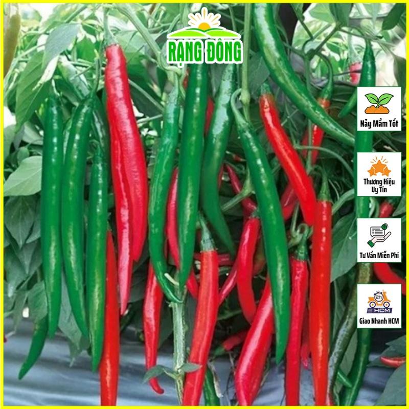 Hạt giống Ớt Chỉ Địa Lai F1, Kháng Bệnh Tốt, Trồng Quanh Năm - Hạt Giống Rạng Đông