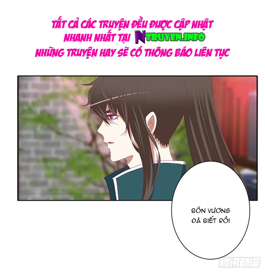 thông linh phi chapter 621 13