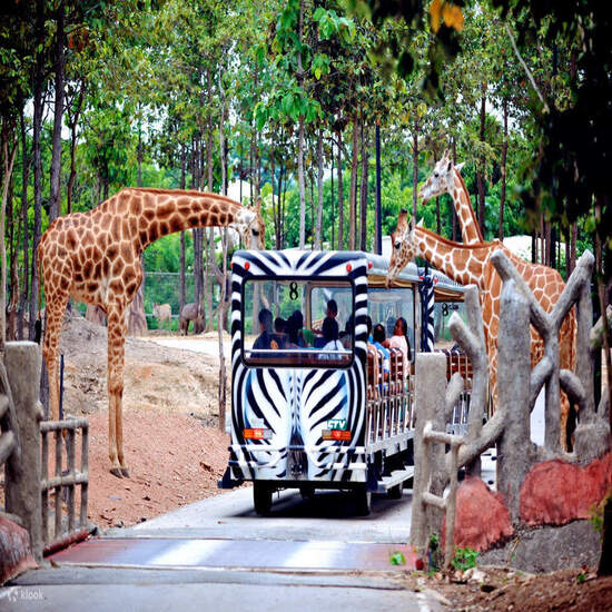 Thái Lan: Chiangmai – Chiangrai: Khám phá Chùa Trắng - Chùa Xanh & Tam Giác Vàng - Trải nghiệm ẩm thựcMichelin - 1 ngày tự do