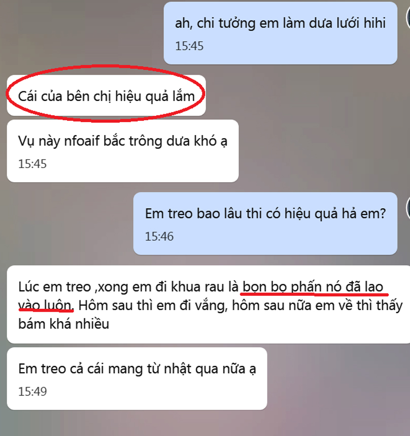 Bẫy Bọ Phấn Trắng gây hại dưa lưới đạt hiệu quả 90% và bẫy côn trùng khác bằng Cuộn Keo Dính Màu Vàng Israel (Combo 20 mét). Sticky Yellow Roll dùng trong ngành nông nghiệp sạch, hạn chế thuốc Bảo Vệ Thực Vật