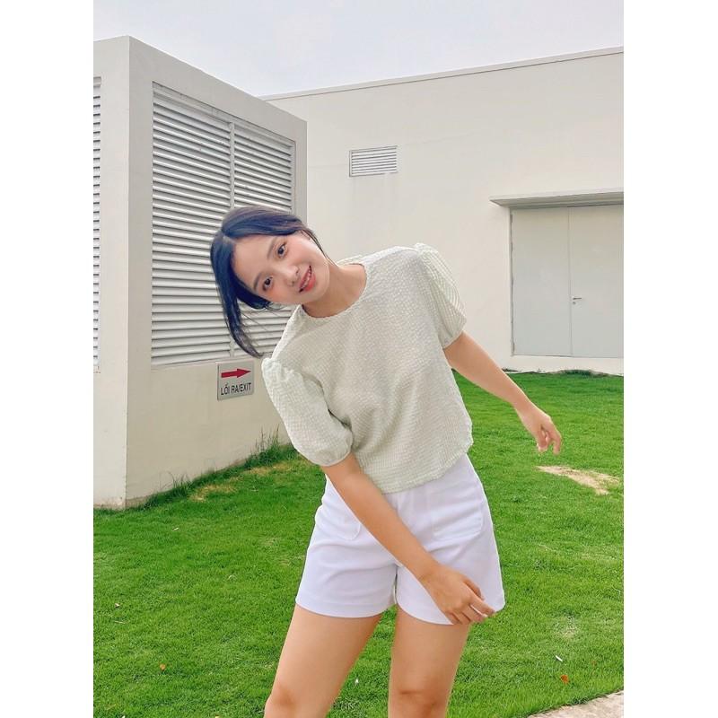 AIMEE_ÁO CỔ TRÒN NƠ LƯNG