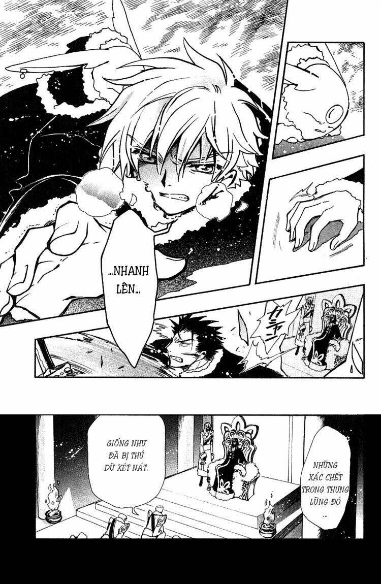 huyền thoại đôi cánh chapter 161 14