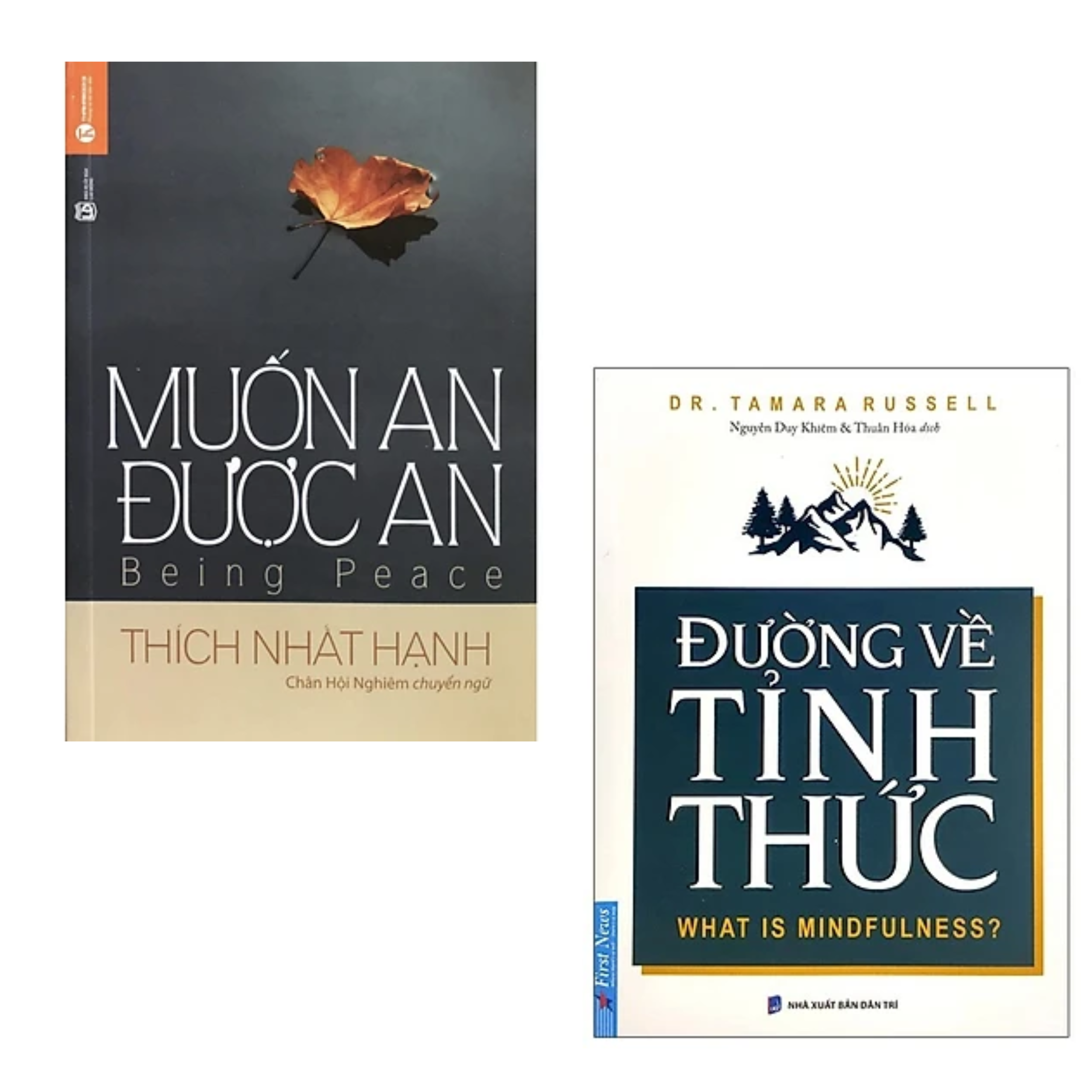 Combo 2 cuốn sách Tôn Giáo - Tâm Linh : Đường Về Tỉnh Thức + Muốn An Được An (Tái bản 2021)