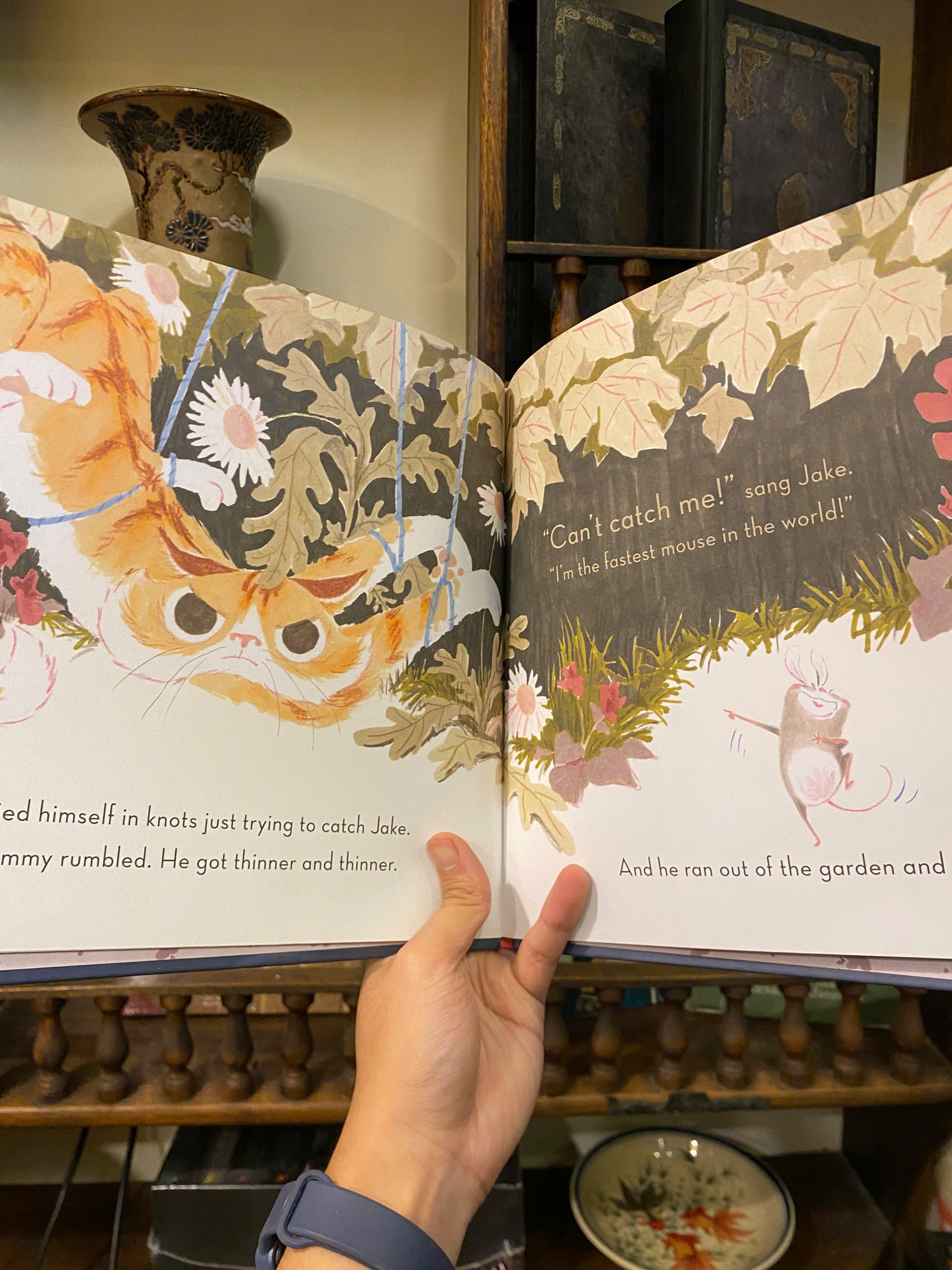 Sách - Can't Catch Me! by Timothy Knapman | English Children's Picture Book | Sách bìa cứng
