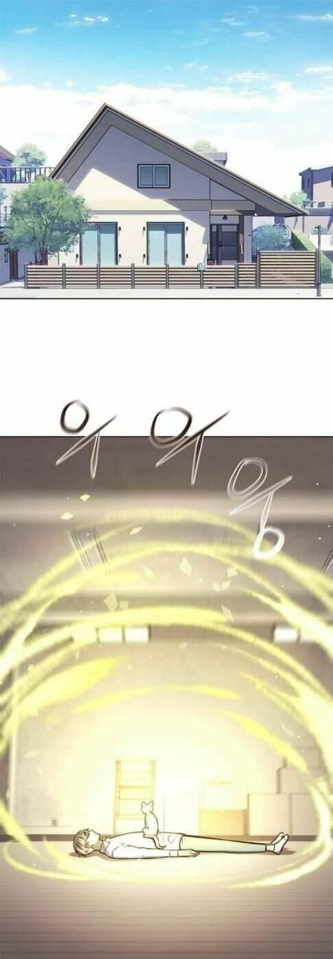 biến thân thành mèo chapter 144 2