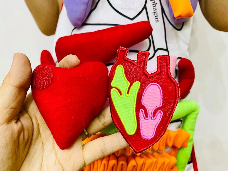 ANATOMY KIDS TOY - bộ đồ chơi tạp dề khám phá cơ thể