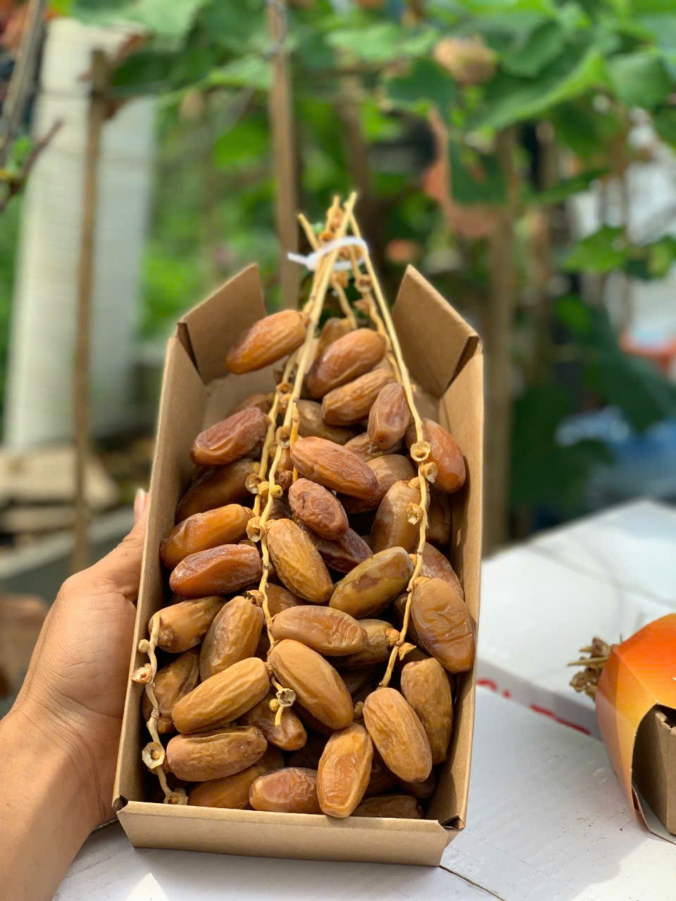 Chà Là Nguyên Cành Golden Health Deglet Nour 600gr