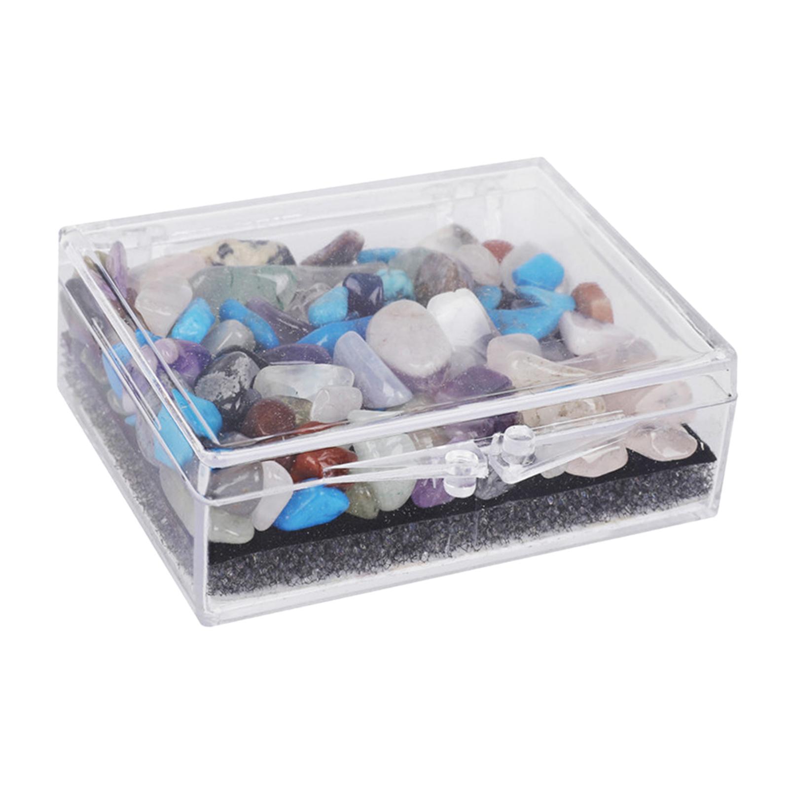 Rock and Mineral Educational Collection Science Ornament Stem for Gift Girls