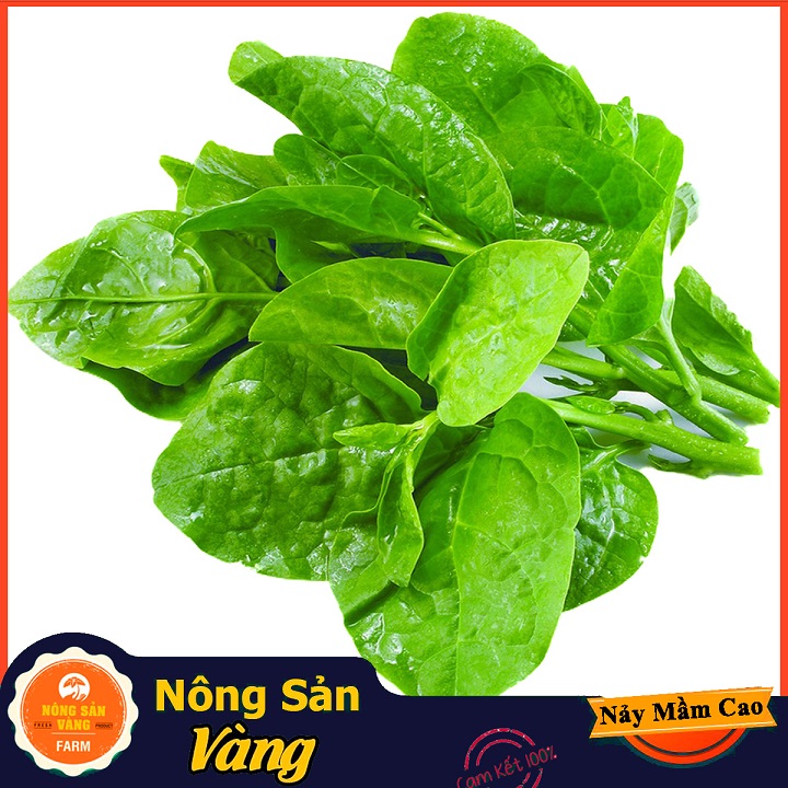 Hạt giống Mồng Tơi Xanh - Nông Sản Vàng