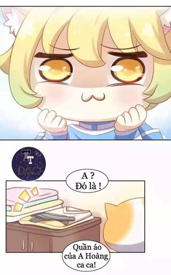 dưới móng vuốt mèo chapter 11 9