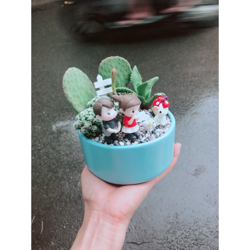 Chậu xương rồng tiểu cảnh