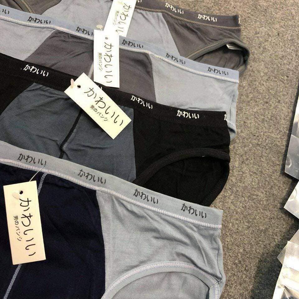 Quần lót nam tam giác cotton - Quần sịp túi zip bạc