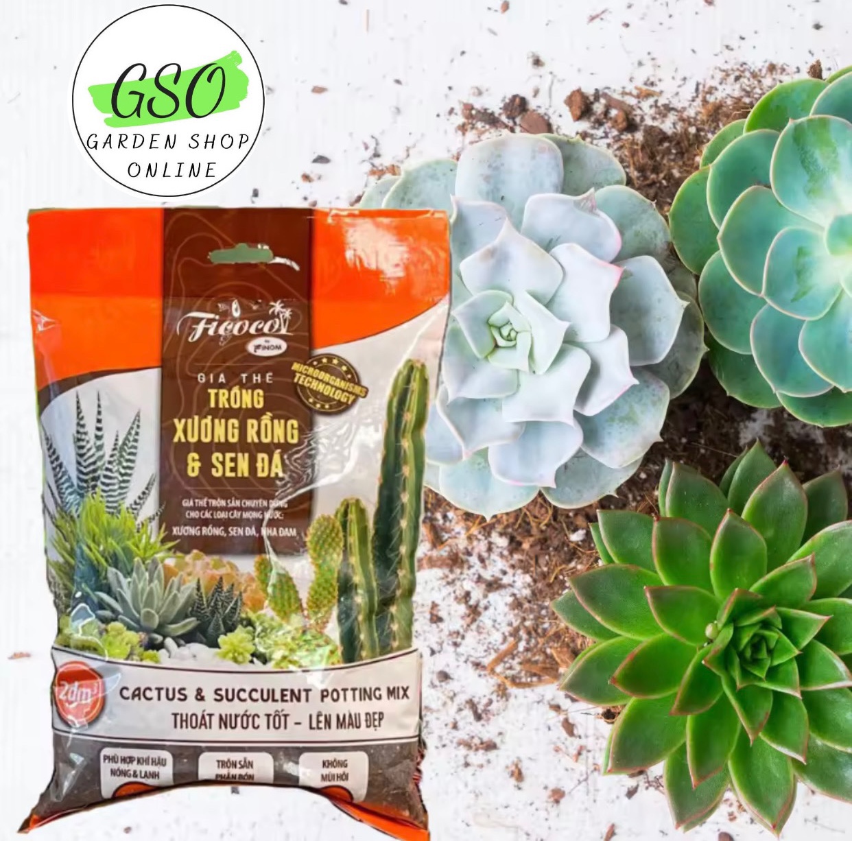 GIÁ THỂ TRỒNG XƯƠNG RỒNG & SEN ĐÁ - FICOCO