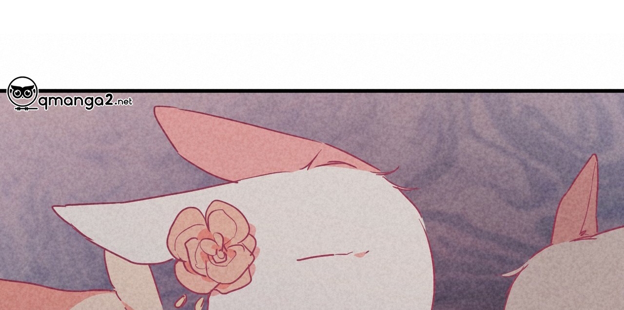 đàn thỏ của habibi chapter 16 175