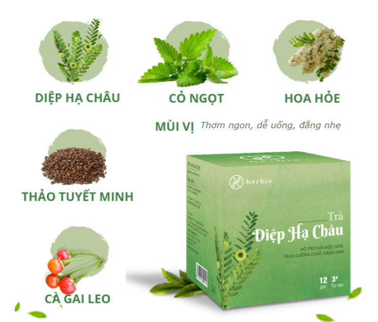 Trà túi lọc Diệp Hạ Châu Herbio - mát gan giải độc, tăng cường chức năng gan - hộp 12 gói x 3gr